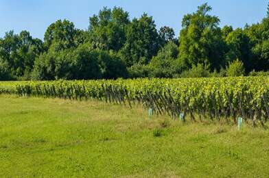 Terrain  92000 €