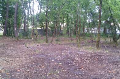 Terrain  117900 €