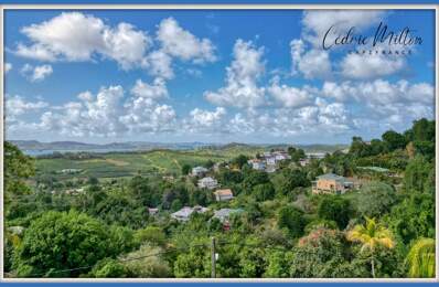 Terrain de 690 m² – au François, quartier Morne Courbaril — photo du bien