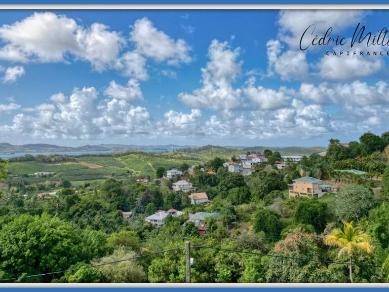 Terrain de 690 m² – au François, quartier Morne Courbaril — photo 1
