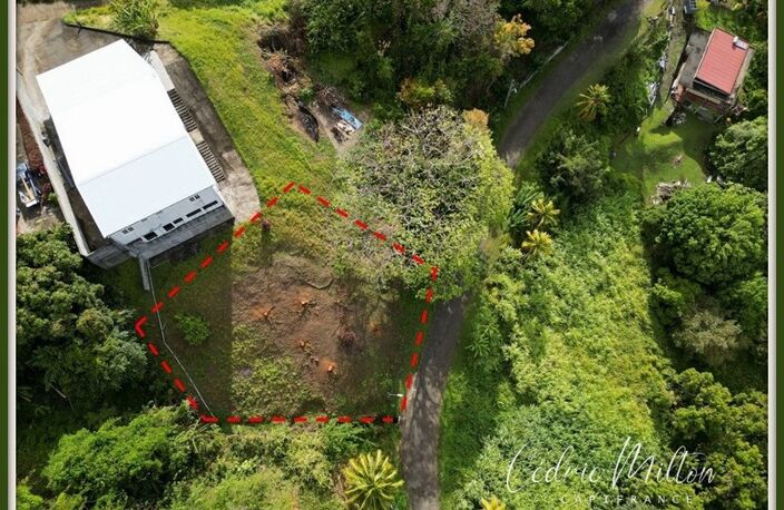 Terrain de 690 m² – au François, quartier Morne Courbaril — photo 3