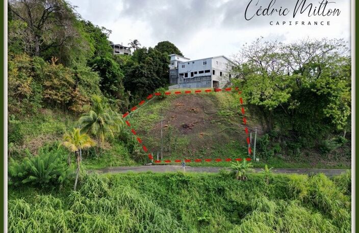 Terrain de 690 m² – au François, quartier Morne Courbaril — photo 4