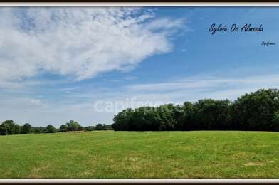 Terrain  82000 €