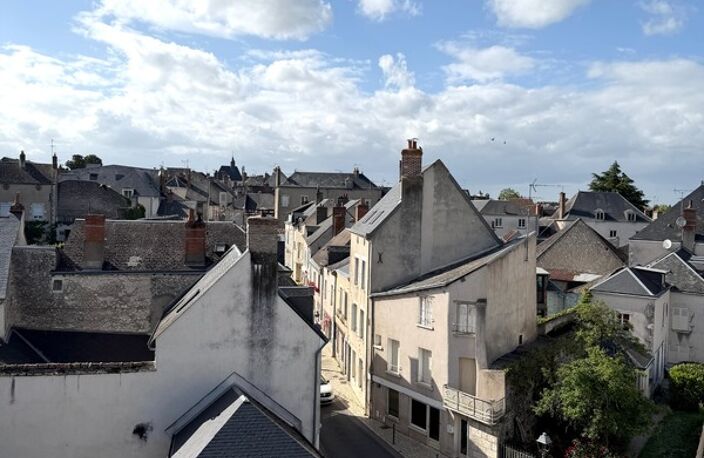 Appartement à vendre 3 pièces MEUNG SUR LOIRE (45) — photo 5
