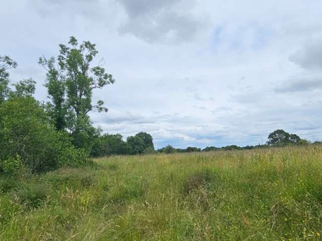 Dpt LANDES (40), à vendre à POUDENX, Maison + grange anciennes à rénover sur 1,7 hectare de terrain, au calme — photo du bien
