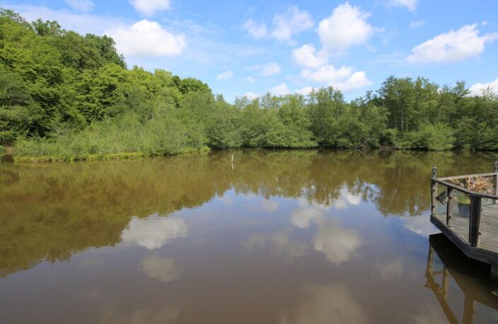 Ensemble d'anciens moulins à eau sur 2 ha 47 de terrain avec étang — photo 2