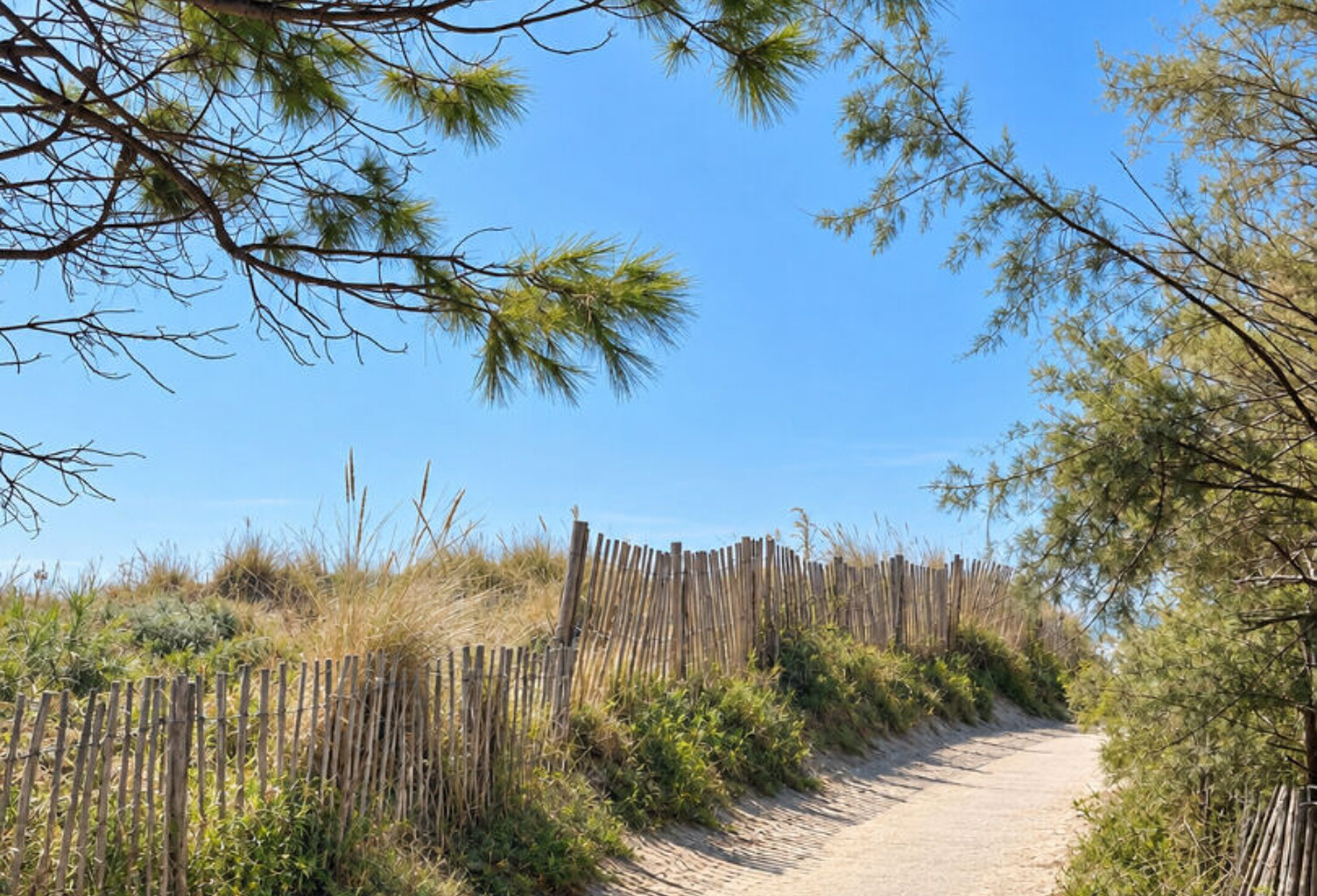 Maison de plage rénovée avec accès direct Mer - La Grande Motte - Le Couchant — photo 1