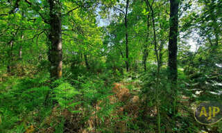 Terrain  1324 m² à vendre à Le Teich (33470)