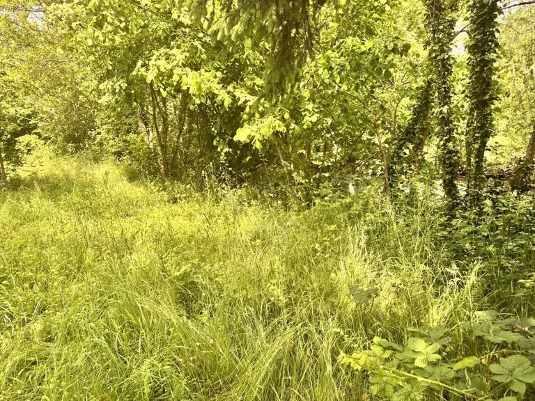 Terrain de loisirs de 485 m2 en bord de rivière. — photo 1