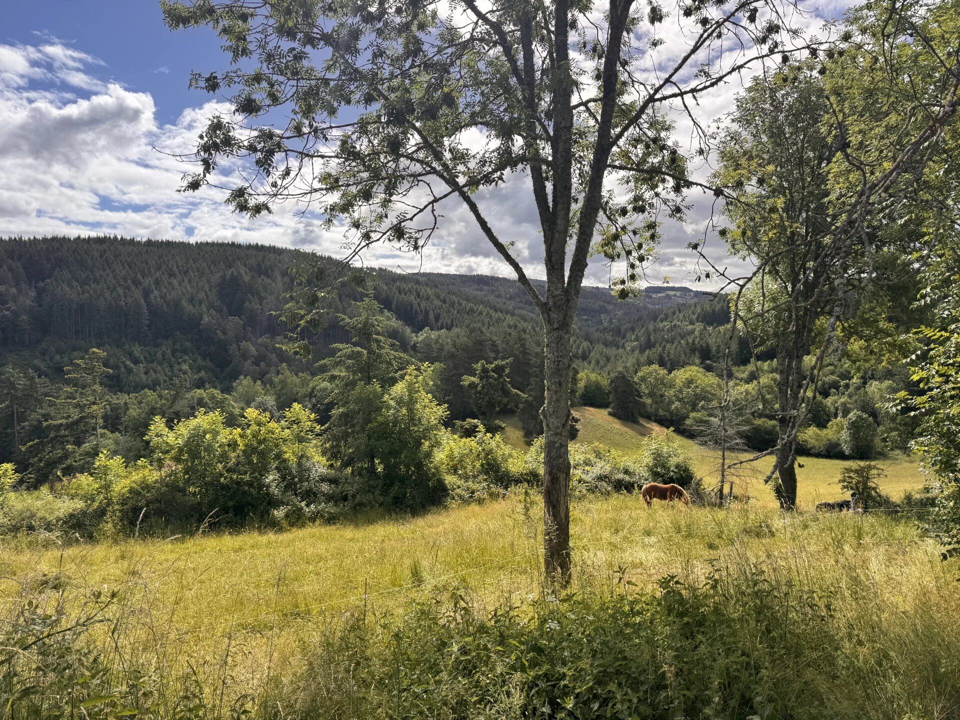 Acheter maison de 4 pièces 113 m² 99 000 € à Saint-Hilaire (43390) : une annonce Arthurimmo.com — 3