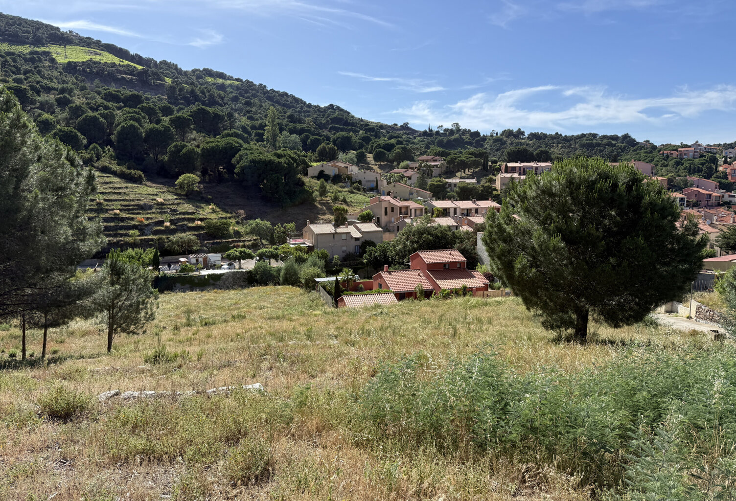 COLLIOURE   TERRAIN À BÂTIR 487M2   VILLA 4 FACES — photo 1