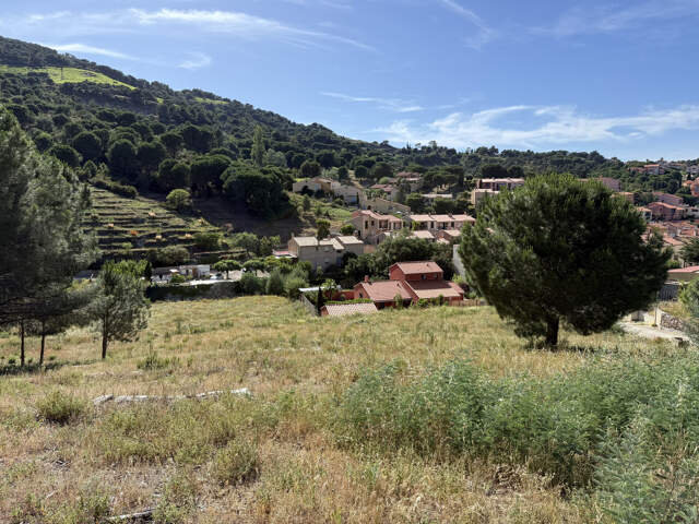 COLLIOURE   TERRAIN À BÂTIR 487M2   VILLA 4 FACES — photo du bien