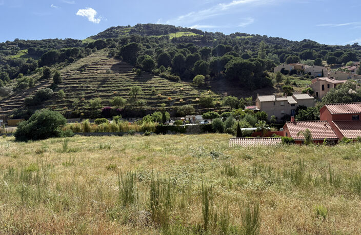 COLLIOURE   TERRAIN À BÂTIR 487M2   VILLA 4 FACES — photo 3