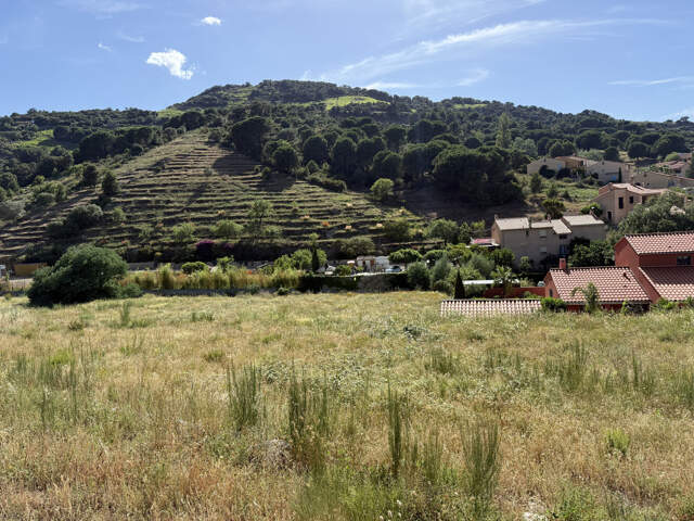 COLLIOURE   TERRAIN À BÂTIR 563 M2   VILLA 4 FACES — photo du bien