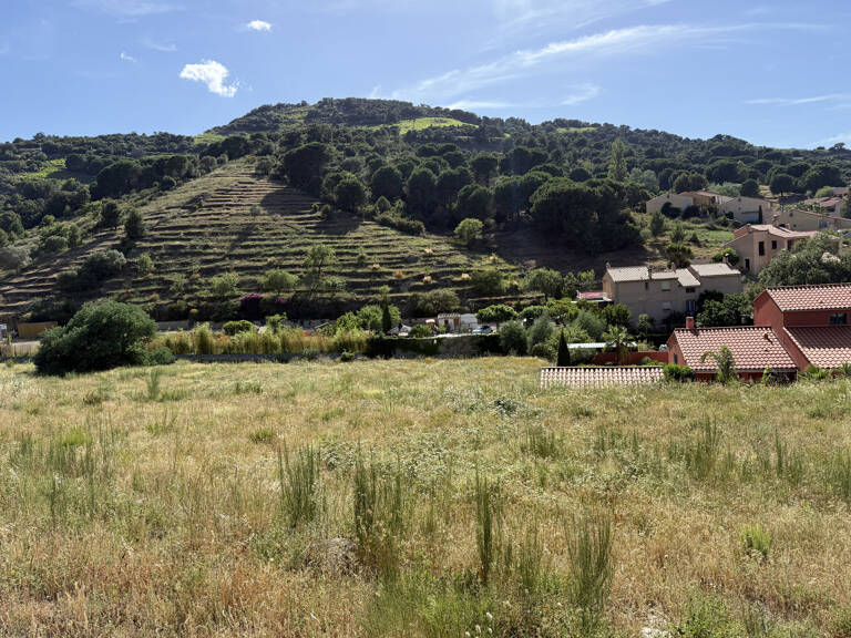 COLLIOURE   TERRAIN À BÂTIR 563 M2   VILLA 4 FACES — photo 1
