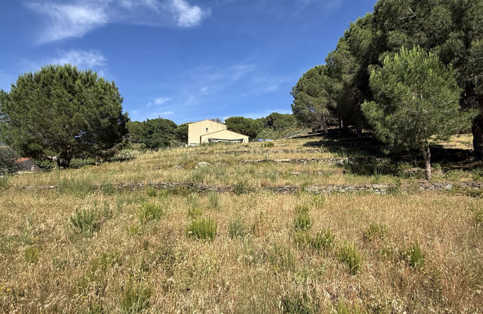 COLLIOURE   TERRAIN À BÂTIR 548 M2   VILLA 4 FACES — photo 5