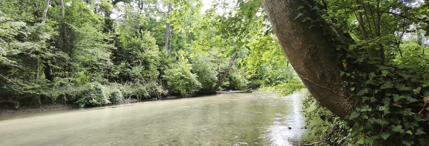 Terrain  2320 m² à vendre à Boult-sur-Suippe (51110)