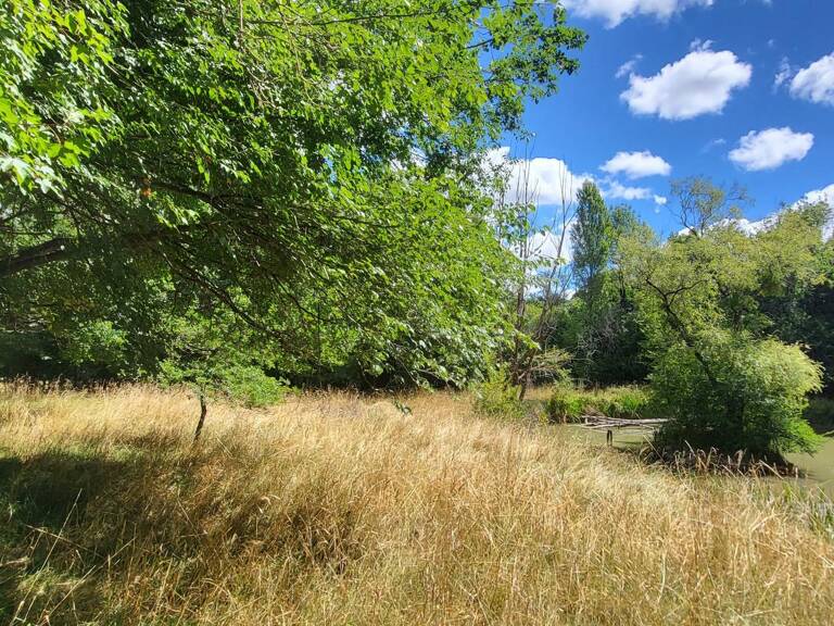 Beau terrain avec étang dans secteur calme — photo 1