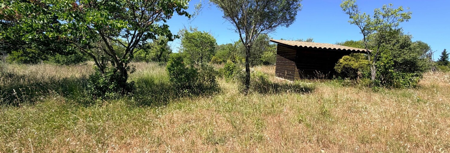 Terrain  3690 m² à vendre à Saint-Georges-d'Orques (34680)