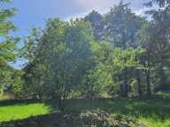 ÉTANG avec deux TERRAINS DE LOISIRS ou pré,  presque 2 HECTARES ,cours d'eau ,  taillis , et prairies — photo 2