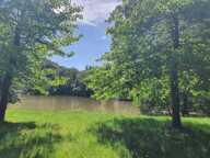 ÉTANG avec deux TERRAINS DE LOISIRS ou pré,  presque 2 HECTARES ,cours d'eau ,  taillis , et prairies — photo 3