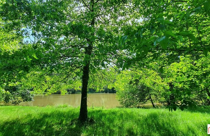 ÉTANG avec deux TERRAINS DE LOISIRS ou pré,  presque 2 HECTARES ,cours d'eau ,  taillis , et prairies — photo 4