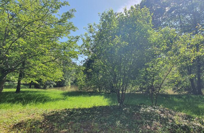 ÉTANG avec deux TERRAINS DE LOISIRS ou pré,  presque 2 HECTARES ,cours d'eau ,  taillis , et prairies — photo 5