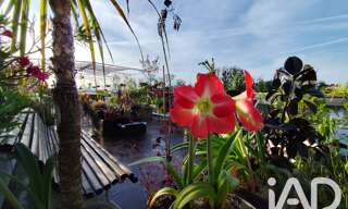 Maison 6 Pièces 170 m² à vendre à Conflans-Sainte-Honorine (78700)