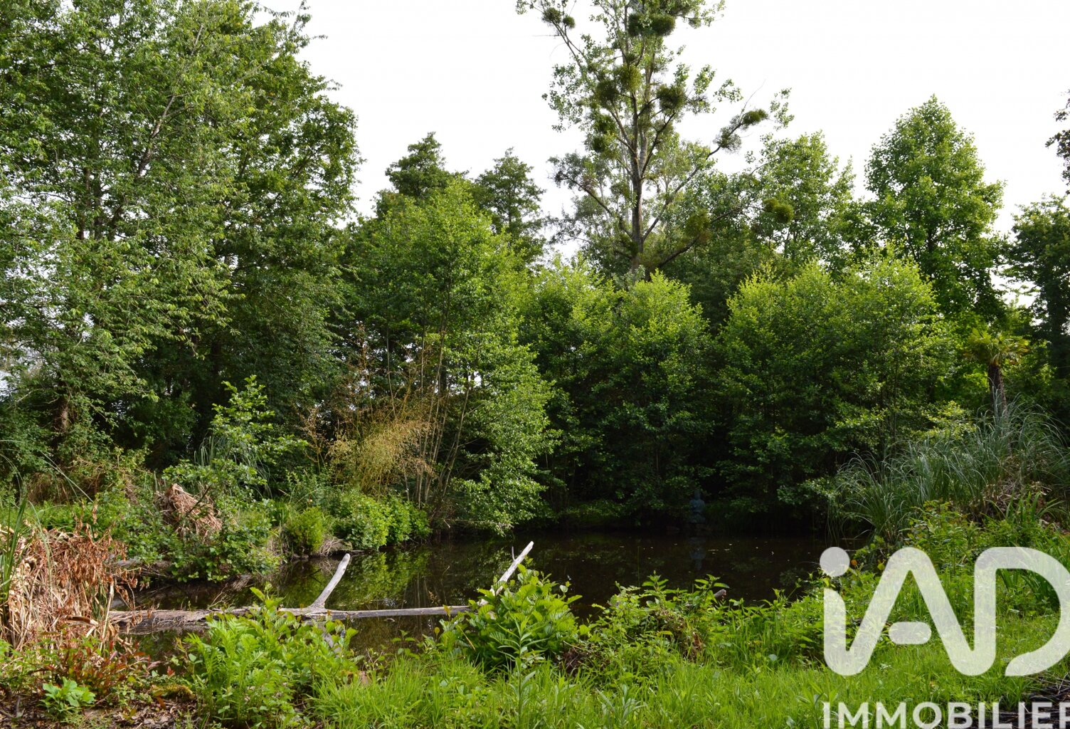 Vente Terrain 4 555 m&sup2; — photo 1