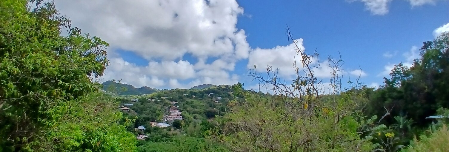 Terrain  11000 m² à vendre à Rivière-Pilote (97211)
