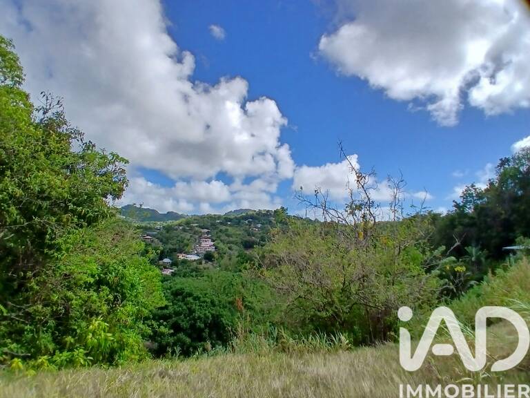 Vente Terrain 11 000 m&sup2; — photo 1