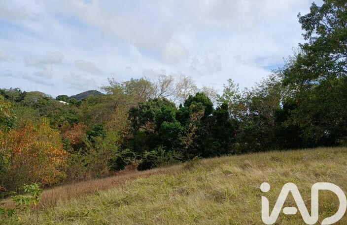 Vente Terrain 11 000 m&sup2; — photo 3