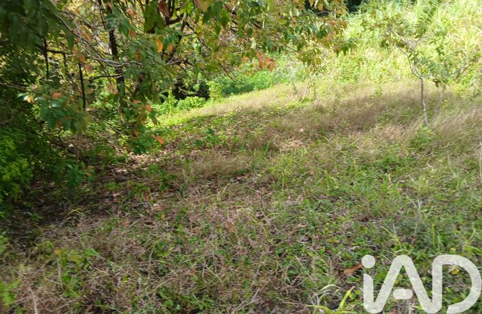 Vente Terrain 11 000 m&sup2; — photo 4