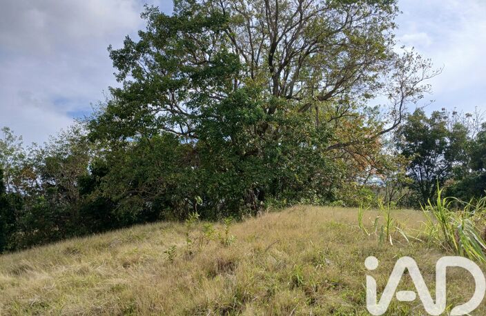 Vente Terrain 11 000 m&sup2; — photo 5