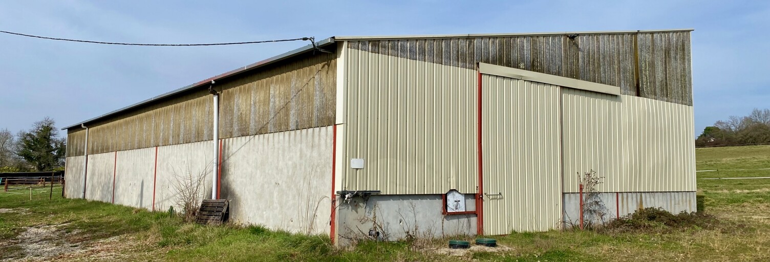 Commerce  450 m² à vendre à Nérac (47600)