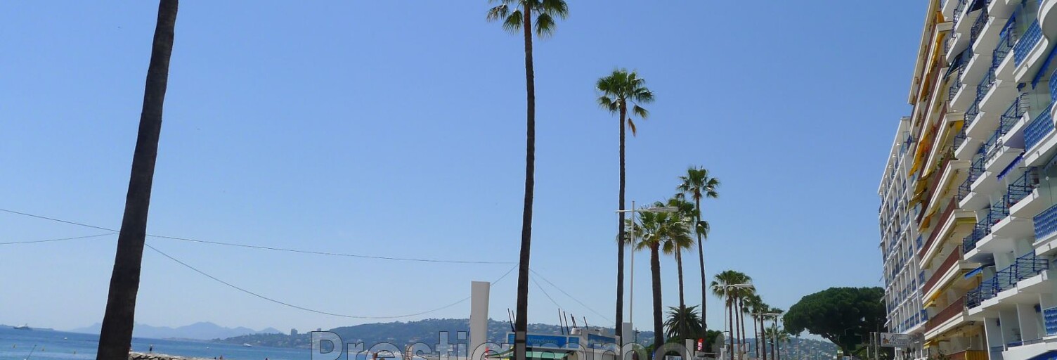 Appartement 1 Pièce 24 m² à louer à Antibes (06160)
