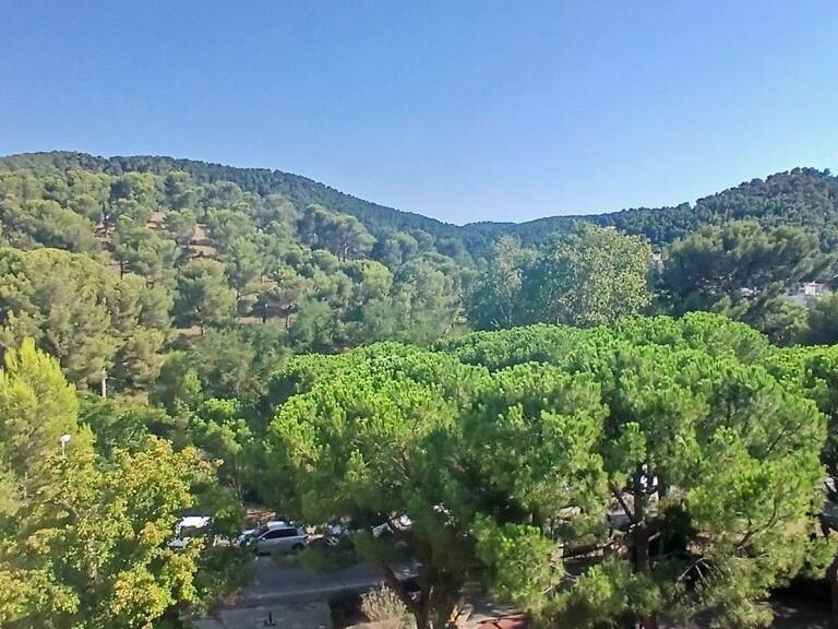 LE RENOIR E02520046L T4-250 000 € — photo 1