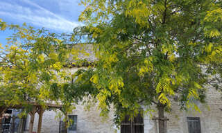 Photo N° 2