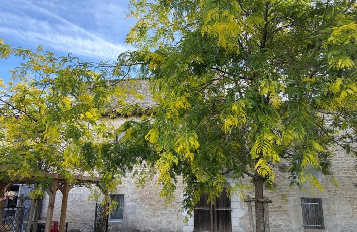 LUCON (85400) - EMPLACEMENT A FORTE VISIBILITE - IMMEUBLE DE RAPPORT AVEC RENTABILITE A FORT POTENTIEL — photo 2