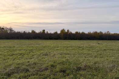 Terrain  50000 €