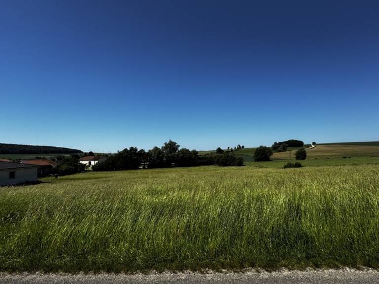 A vendre, Terrain de loisirs de 6 310 m² à Aincreville – Cadre naturel et nombreuses possibilités — photo 1