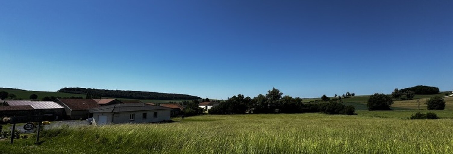 Photo N° 2