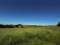 A vendre, Terrain de loisirs de 6 310 m² à Aincreville – Cadre naturel et nombreuses possibilités — photo 3