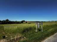 A vendre, Terrain de loisirs de 6 310 m² à Aincreville – Cadre naturel et nombreuses possibilités — photo 4