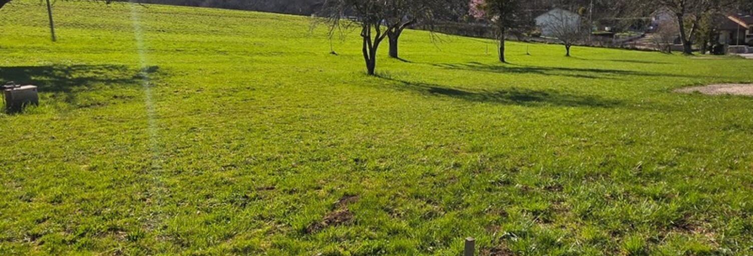 Terrain  543 m² à vendre à Messia-sur-Sorne (39570)