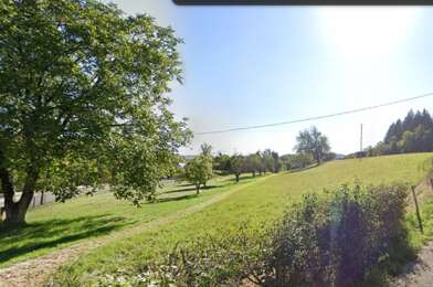 Terrain  58000 €