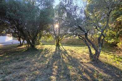 Terrain  259000 €