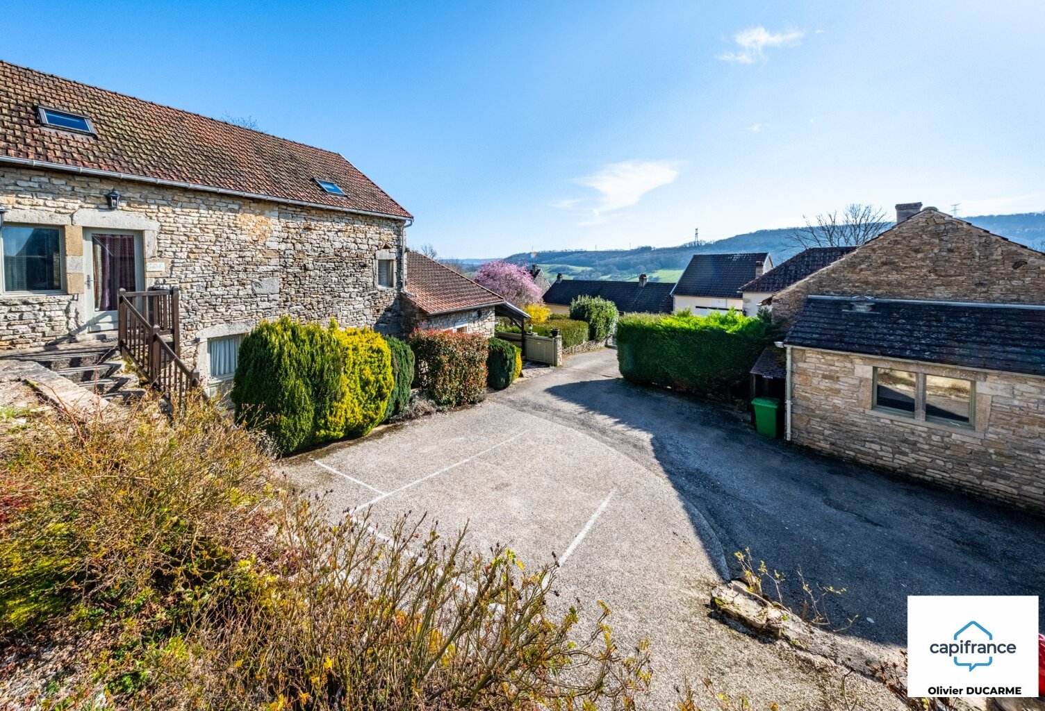 Murs et fonds : gite, chambres d'hôtes et table d'hôtes à vendre CHAUDENAY LE CHATEAU (21) — photo 1