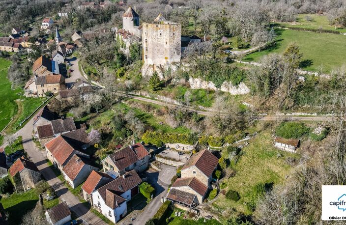 Murs et fonds : gite, chambres d'hôtes et table d'hôtes à vendre CHAUDENAY LE CHATEAU (21) — photo 3