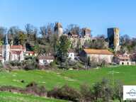 Murs et fonds : gite, chambres d'hôtes et table d'hôtes à vendre CHAUDENAY LE CHATEAU (21) — photo 4